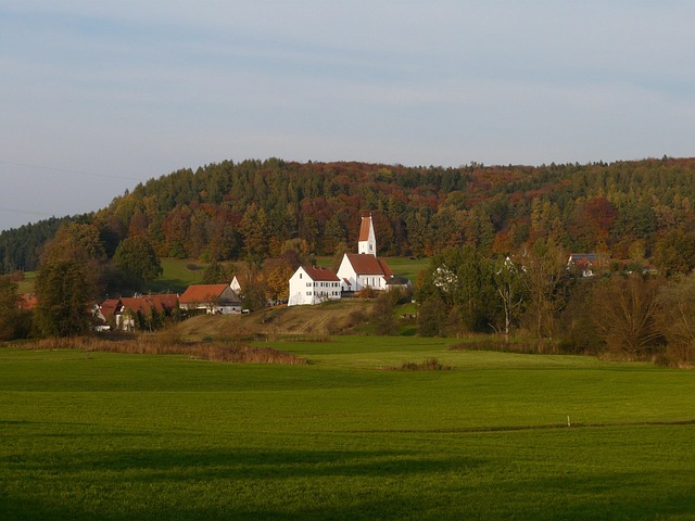 Undgå de klassiske fejl ved beskæring af stauder